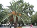 Vacanta de vara Grecia 2009
