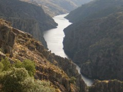 Spania - Unde sa mergeti in Salamanca
