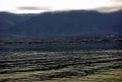 Grecia - Urmati rutele pasarilor migratoare si descoperiti zonele umede protejate