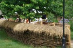Muzeul Satului Bucuresti