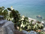 Insula Skiathos