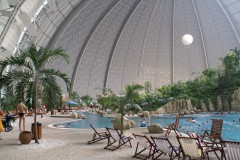 Padure tropicala in Europa - inventia Germaniei