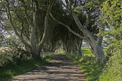 S-a lansat turul Game of Thrones - Urzeala tronurilor