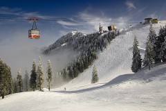 Partie... Poiana Brasov