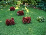 Gradina Botanica din Blanes