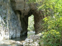 Cheile Rametului