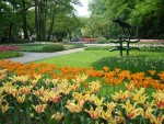 Keukenhof -Grădina Europei, Olanda