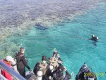 Şuba Diving la Marea Roşie