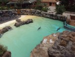 Costa Adeje, Tenerife, Spania