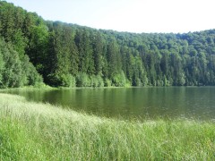 Muntii Harghita si Platoul Vulcanic