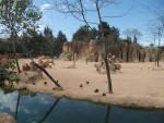 Nu rata Bio Parc Valencia