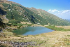 Muntii Rodnei