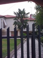 Vacanta de vara Grecia 2009