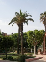 Merita vizitata , Tunisia