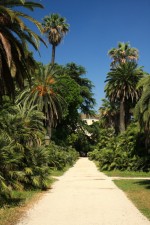 Gradina Botanica din Roma