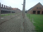 Lagarul de la Auschwitz (OÅ›wiÄ™cim) Polonia