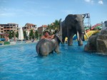 hotel Gran Victoria