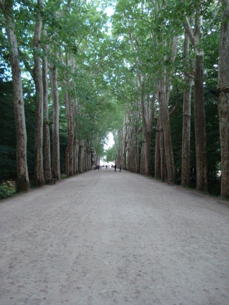 Franta - Valea Loirei -   Chateau Chenonceau