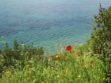 Ouranopolis la inceputul lunii mai