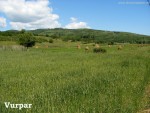 Cetatea Alba renovata/in renovare