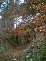 Pe drumuri nestiute...