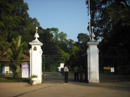  Intrarea in Gradina Botanica