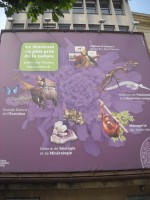 2012 - Paris - Muzeul de Istorie Naturala