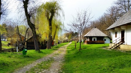 intrare in muzeul satului