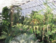 The Royal Botanic Gardens - Kew Gardens, London