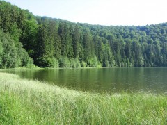 Muntii Harghita si Platoul Vulcanic