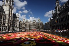Festivalul florilor - Bruxelles se mandreste cu begoniile