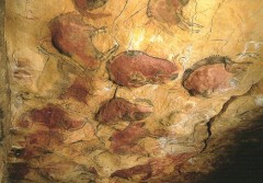 Spania va redeschide Pesterile din Altamira in ciuda protestelor