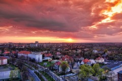 Poznan, Polonia vrea sa atraga turistii prin arta in aceasta vara