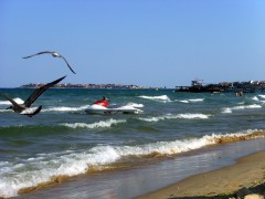 Politia Romana va avea grija de turistii romani de pe litoralul bulgar