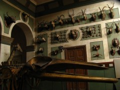 Egipt, Muzeul Agriculturii din Cairo se innoieste