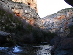 Spania, Descoperiti fosile de dinozauri in Geoparcul Maestrazgo