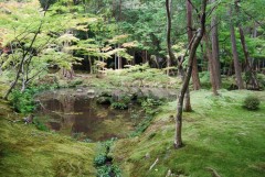 Japonia, Koke-Dera - Un paradis zen greu accesibil turistilor