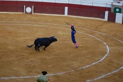 Spania, Ondara - Distractie cu lupte cu tauri si prinderea tiparilor
