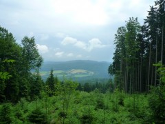 Cehia - Viitorul industriei Turismului va fi unul ecologic