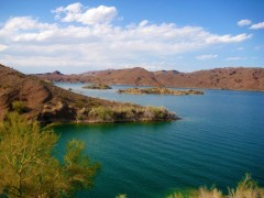 Statele Unite, Lacul Havasu - Filmul Pirahna 3D provoaca necazuri