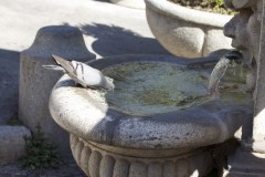 Italia - Nasoni, fantanile omniprezente ale Romei