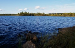 Finlanda - Vizitati Parcul National Salamajarvi