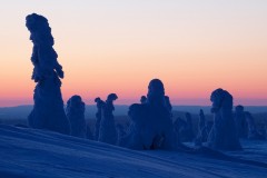 Finlanda - Explorati Parcul National Riistunturi