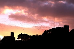 Italia - Descoperiti Campobasso, capitala linistita a regiunii Molise