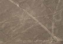 Liniile Nazca - Caine