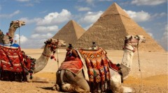 Egiptul este un pionier al noilor tehnologii