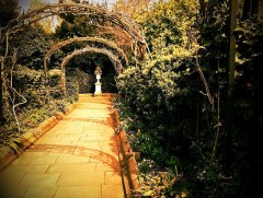 Gradinile secrete din Londra isi deschid portile turistilor