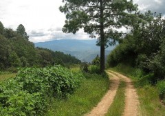 Dezvoltarea ecoturismului in sud-estul Europei