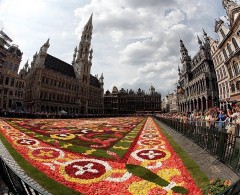 Surprize in Bruxelles pentru aceasta vara