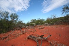 Cea mai buna slujba din lume 2013 - Australia angajeaza din nou